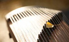 初学者买什么古筝好&mdash;&mdash;如何选筝