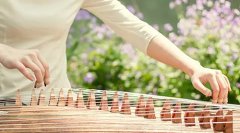 什么牌子的古筝好(品牌挑选分析)