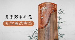 初学者买什么古筝好(古筝问题解答)