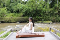 初学者如何网上选筝，什么牌子的古筝好