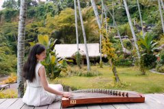 什么牌子的古筝好，高端古筝什么牌子好