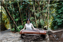 如何挑选古筝，古筝琴弦哪个牌子好