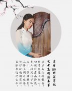 小孩初学者买什么古筝好，购买古筝注意事项