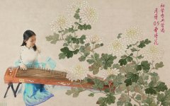 初学者买什么古筝好，有什么办法可以选择合适的琴