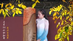 如何挑选古筝&mdash;&mdash;初学者不知道如何选古筝