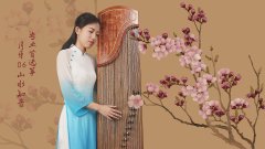 小孩学古筝买什么好，什么牌子的古筝好