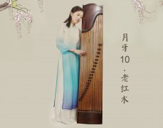 初学者买什么样古筝，什么牌子的古筝好