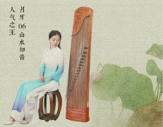 如何挑选古筝，初学者如何够买正品古筝