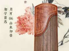 古筝入门买什么好，初学者买什么古筝好